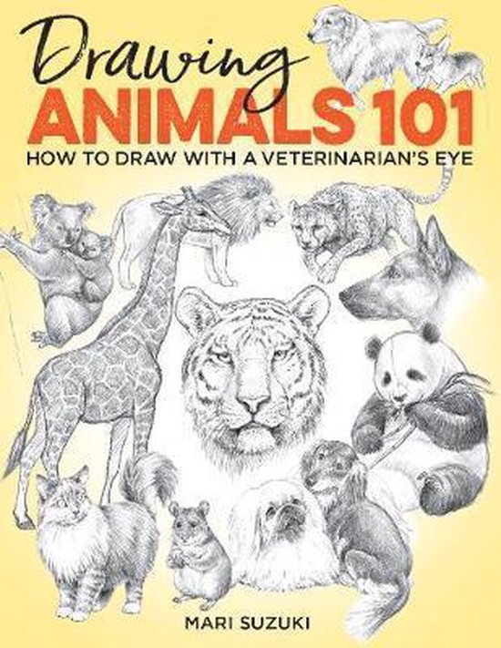 Drawing Animals 101