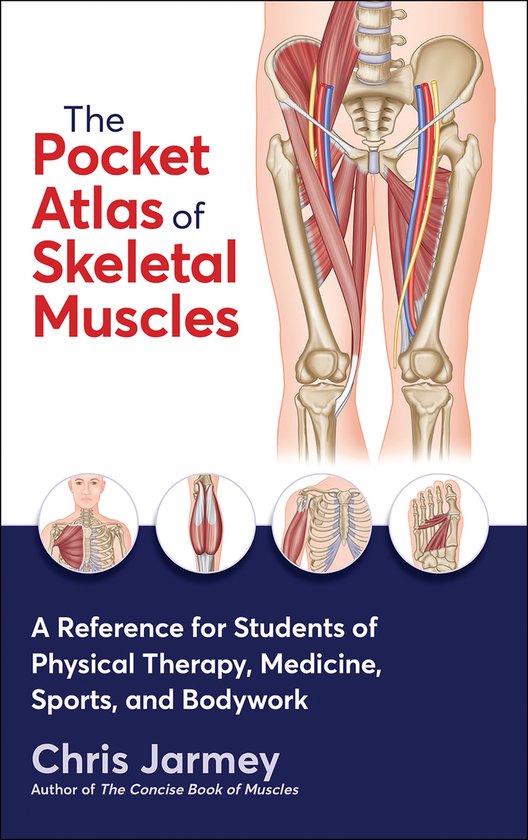 The Pocket Atlas of Skeletal Muscles