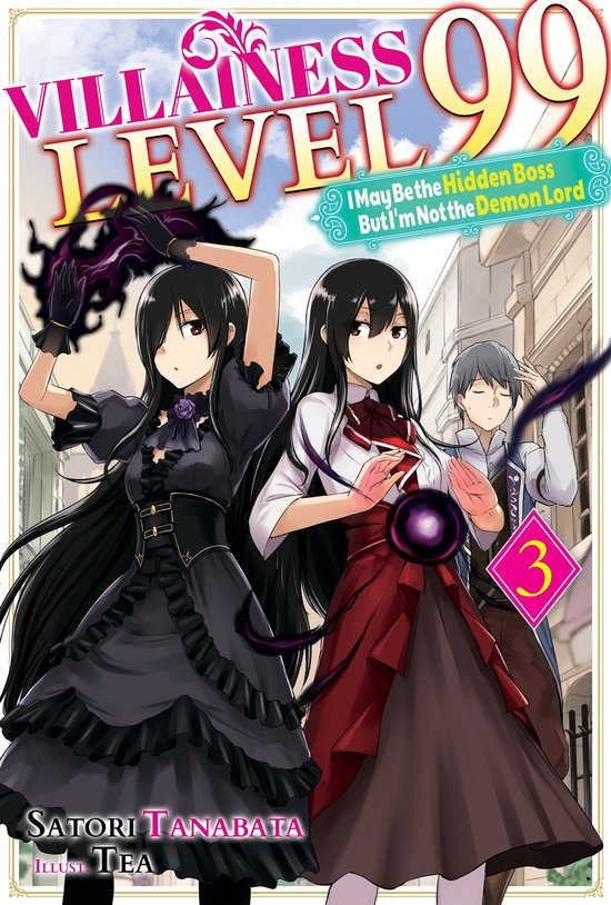 Villainess 3 - Villainess Level 99: I May Be the Hidden Boss but I'm Not the Demon Lord Act 3 (Light Novel)