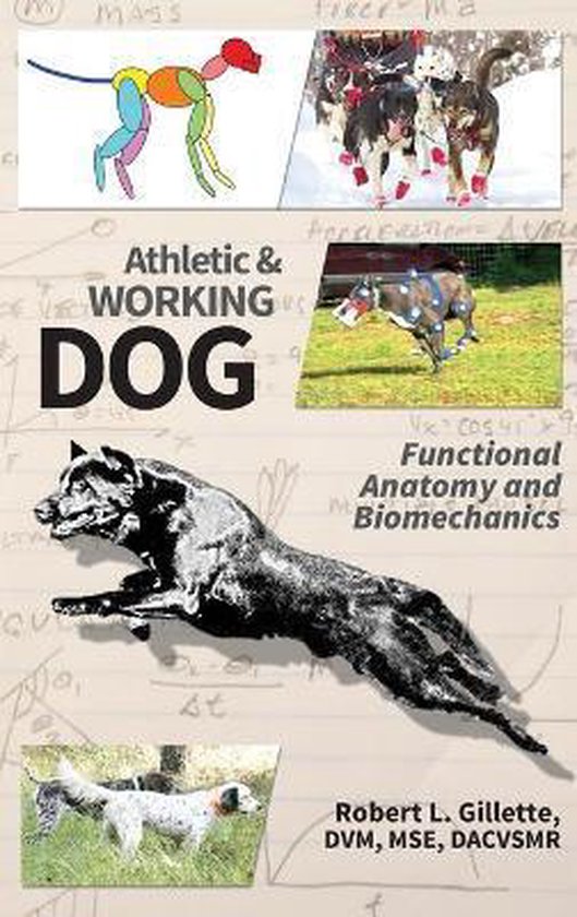 Athletic and Working Dog