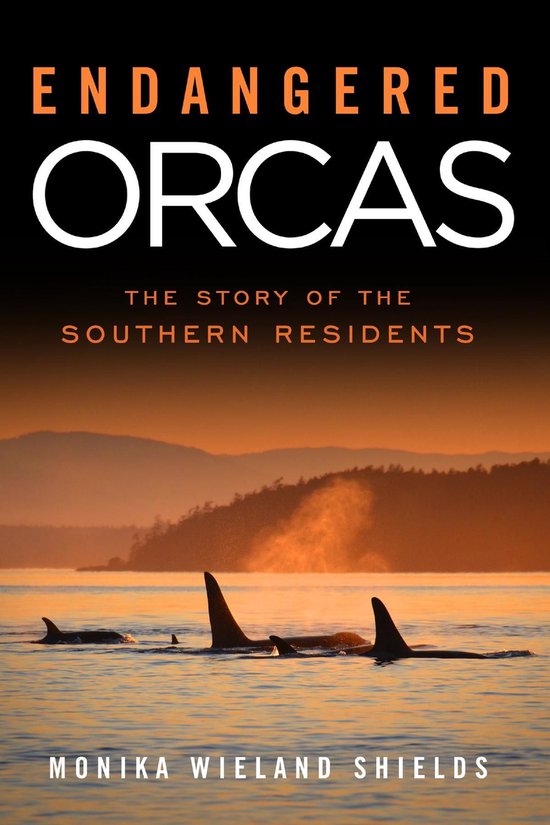 Endangered Orcas