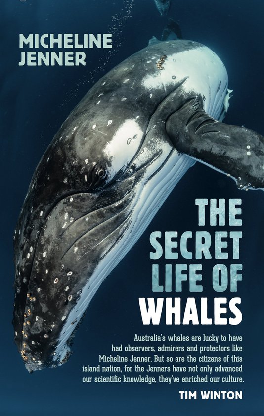 The Secret Life of Whales