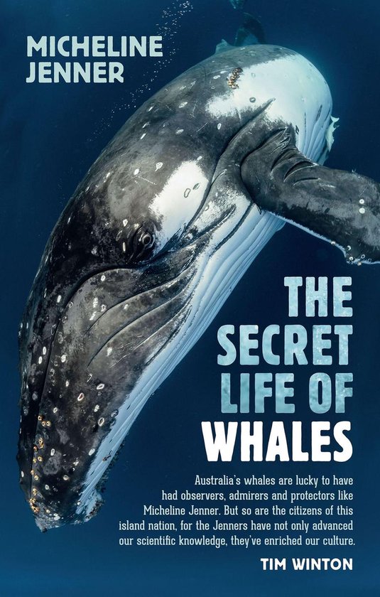 The Secret Life of Whales