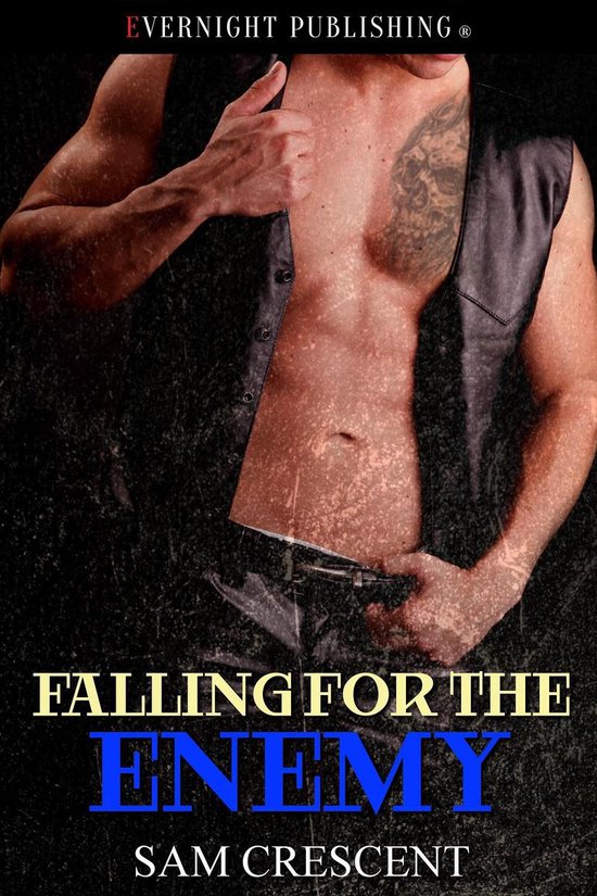 Falling in Love 1 - Falling for the Enemy