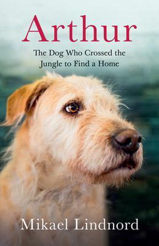 Arthur: The Dog who Crossed the Jungle to Find a H