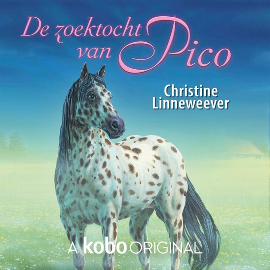 De zoektocht van Pico