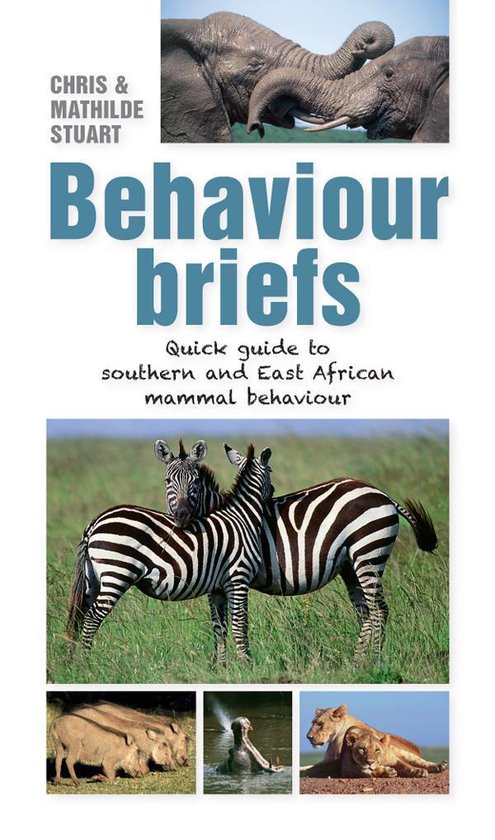 Behaviour Briefs