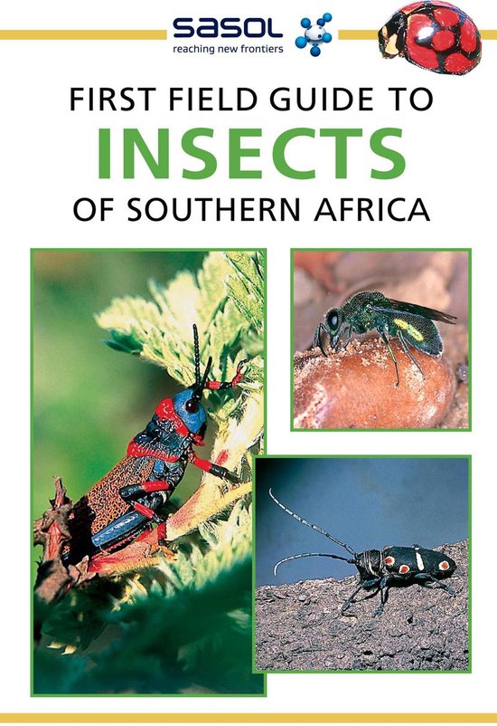 Sasol First Field Guide - Sasol First Field Guide to Insects of Southern Africa