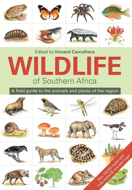 The Wildlife of Southern Africa