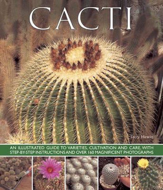 Cacti