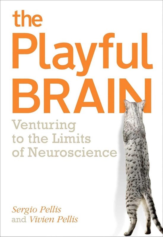 The Playful Brain