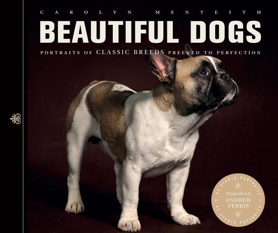 Beautiful Animals - Beautiful Dogs