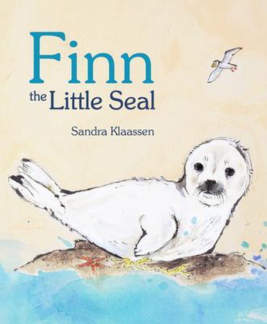 Finn the Little Seal