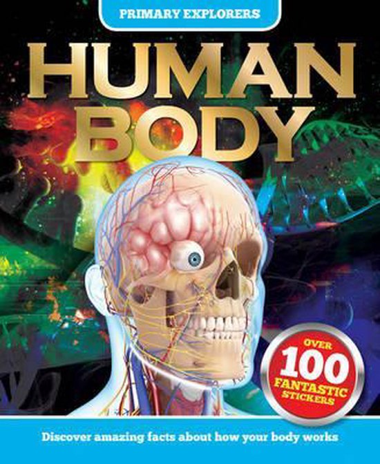 Human Body