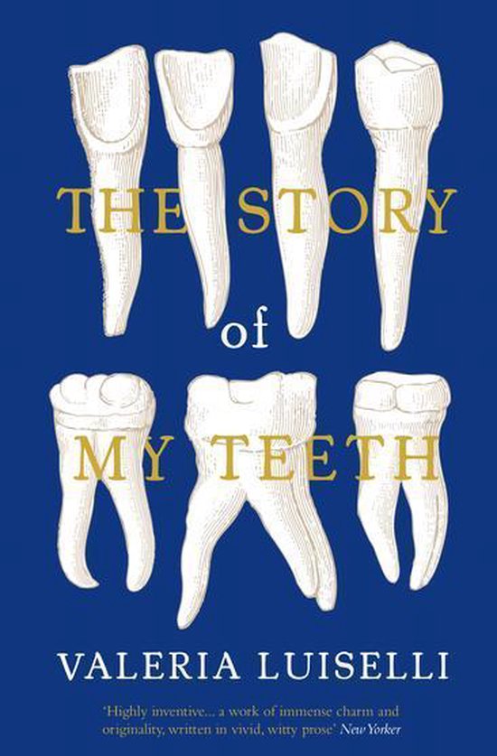 The Story of My Teeth