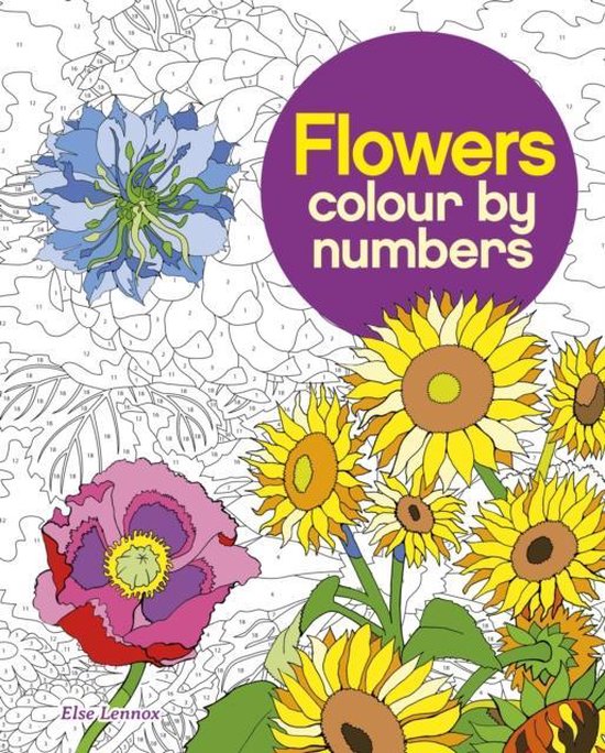 Colour By Numbers Flowers