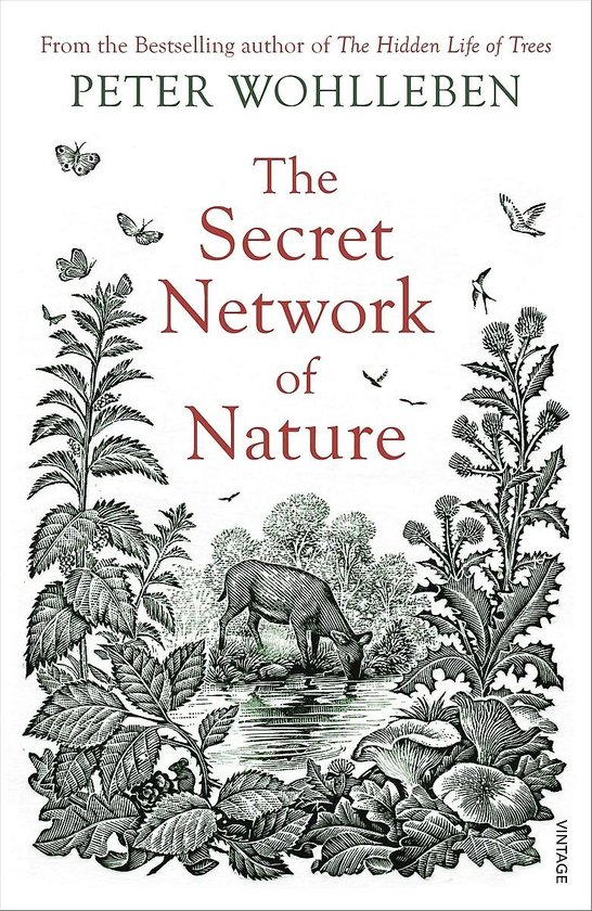 The Secret Network of Nature