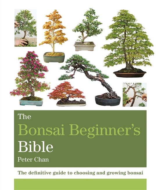 The Bonsai Beginner's Bible