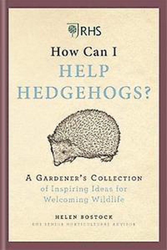 RHS How Can I Help Hedgehogs?