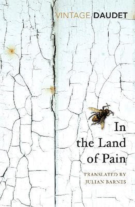 In the Land of Pain