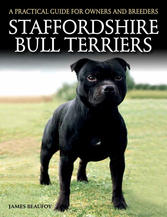 Staffordshire Bull Terriers