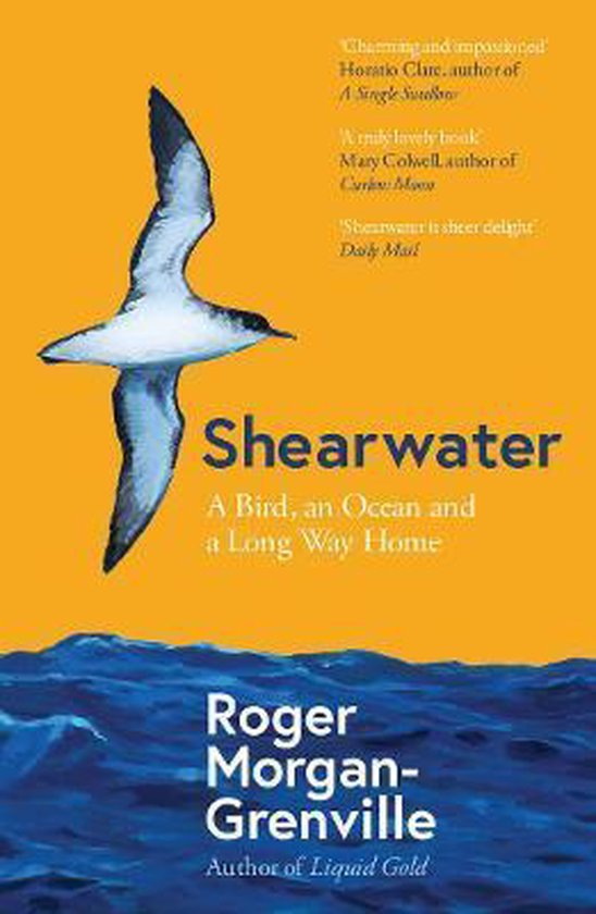 Shearwater