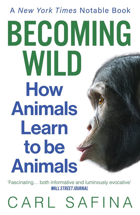 Becoming Wild