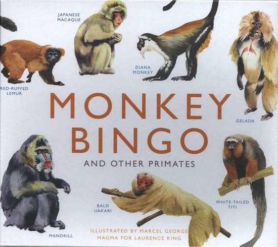 Monkey Bingo