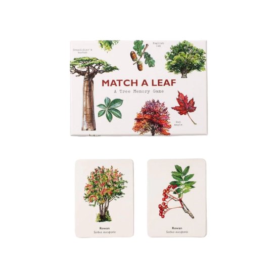 Match a Leaf A Tree Memory Game:A Tree Memory Game