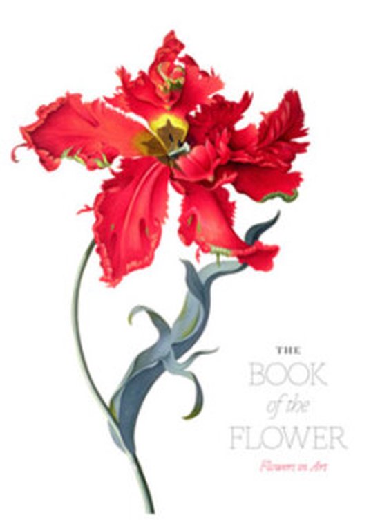 The Book of the Flower