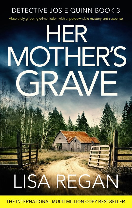 Detective Josie Quinn 3 - Her Mother's Grave