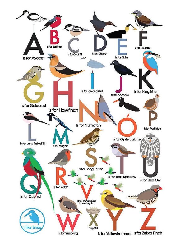 I Like Birds - An Alphabet of Birds Address Book