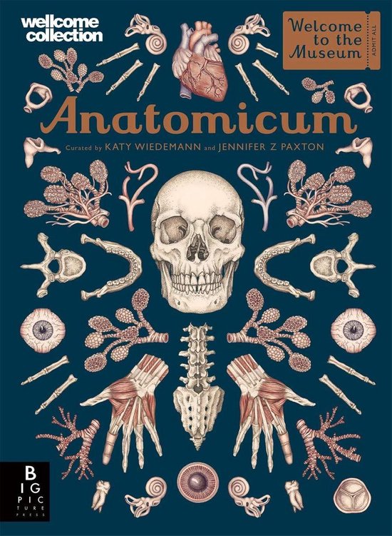 Anatomicum