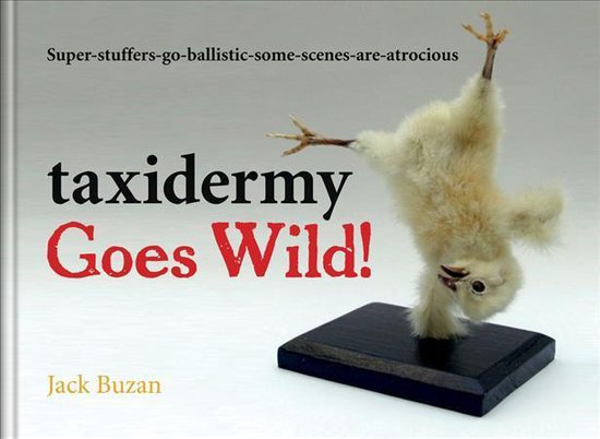 Taxidermy Goes Wild!