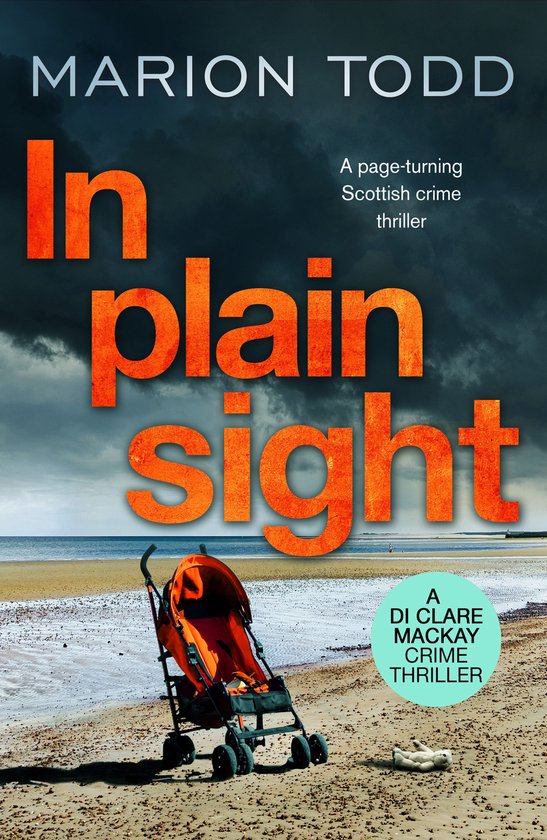 Detective Clare Mackay 2 - In Plain Sight