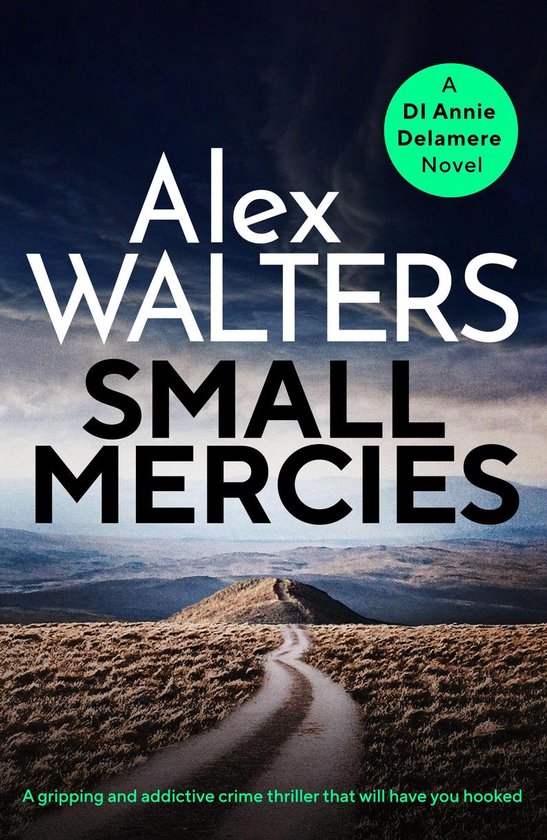 Detective Annie Delamere 1 - Small Mercies