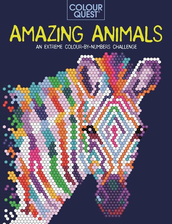 Colour Quest- Colour Quest: Amazing Animals