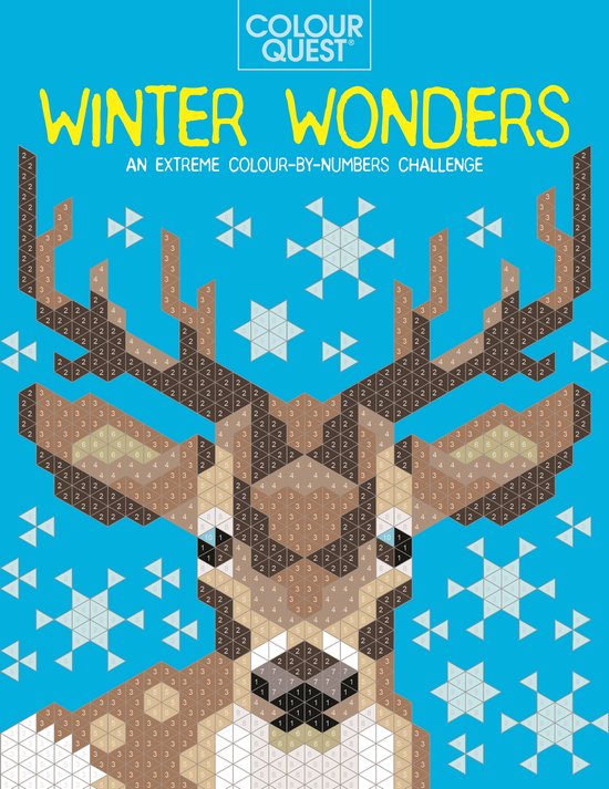 Colour Quest- Colour Quest: Winter Wonders