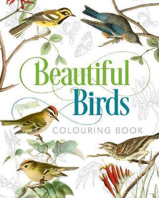 Beautiful Birds Colouring Book