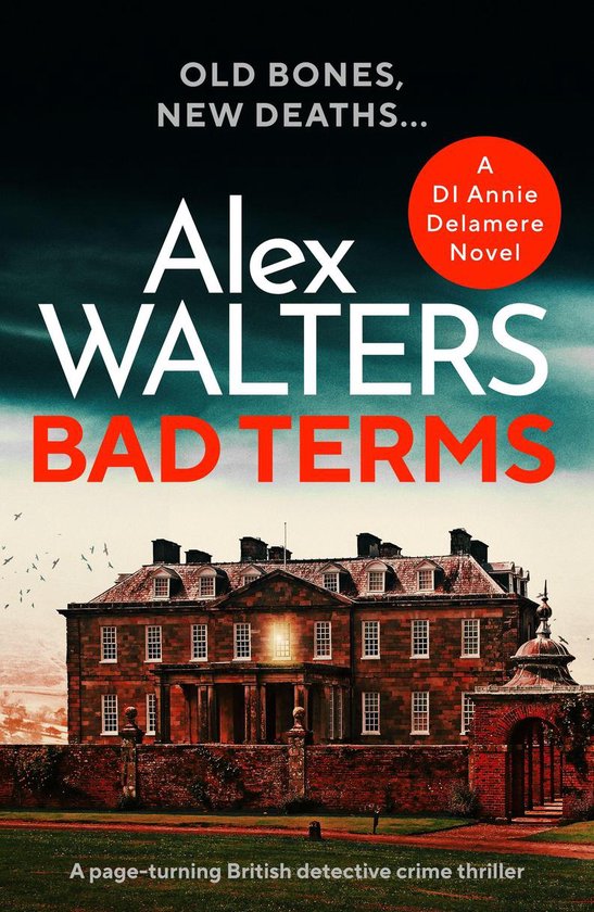 Detective Annie Delamere 3 - Bad Terms