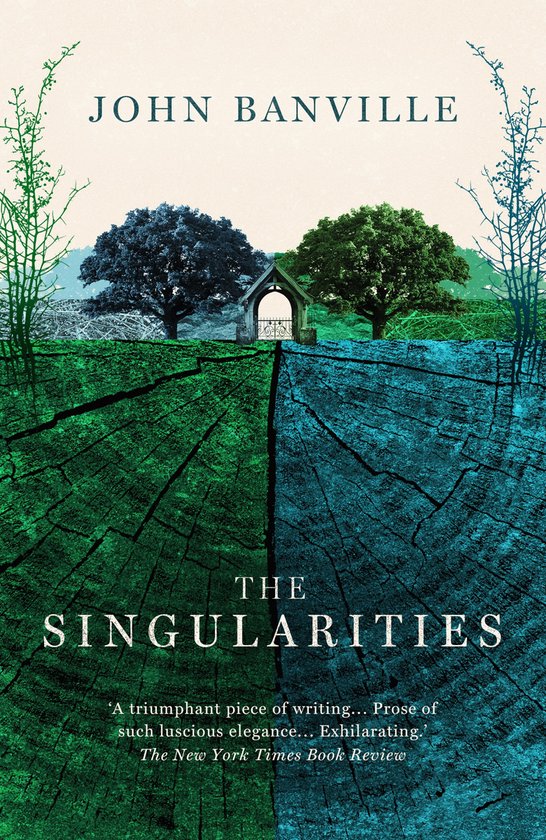 The Singularities