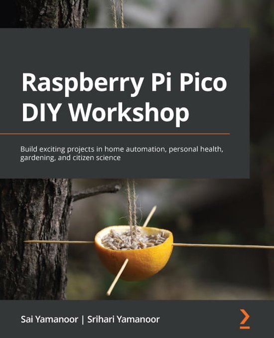 Raspberry Pi Pico DIY Workshop