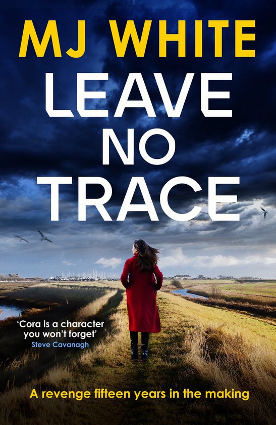 A Cora Lael Mystery 3 - Leave No Trace