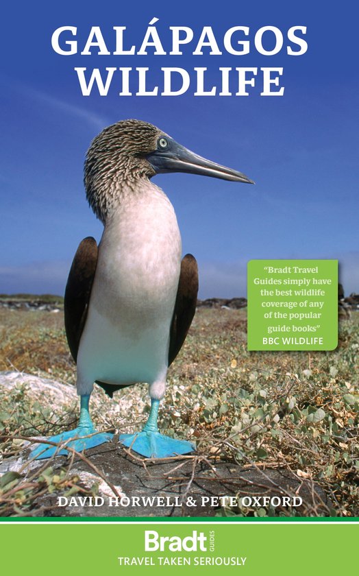 Galapagos Wildlife