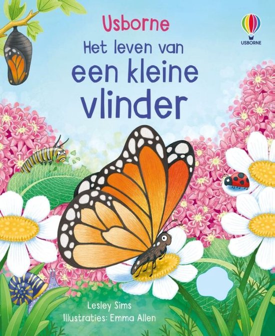 Een kleine vlinder