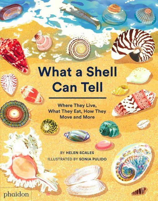 What A Shell Can Tell