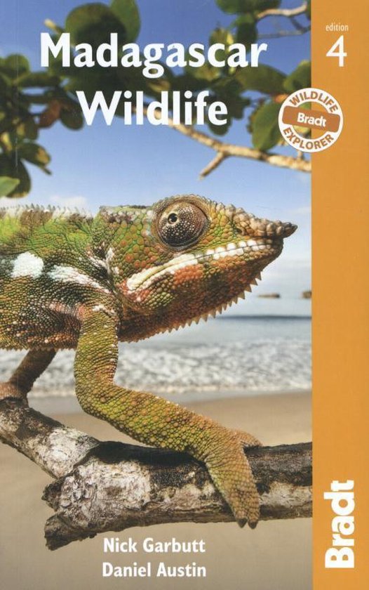 Madagascar Wildlife