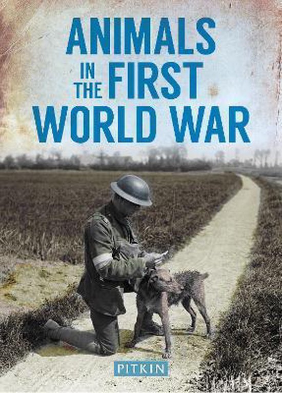 Animals In The First World War