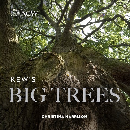 Kewâ€s Big Trees