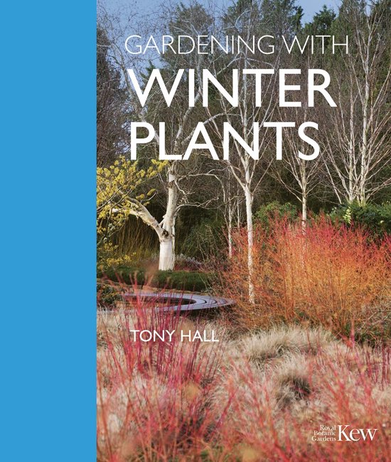 Gardening with Winter Plants